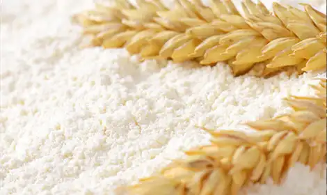 What is the Difference Between Wheat Protein and Hydrolyzed Wheat Protein?